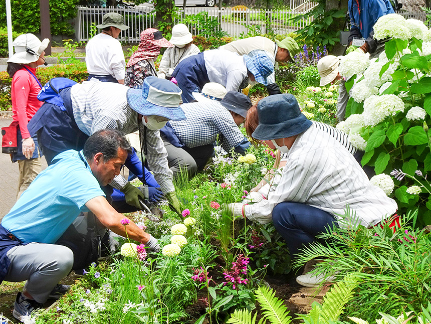 草花の植え付けの実習